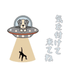 [気を付けて来てね専用]UFOで宇宙犬1（個別スタンプ：6）