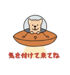 [気を付けて来てね専用]UFOで宇宙犬1（個別スタンプ：8）