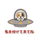 [気を付けて来てね専用]UFOで宇宙犬1（個別スタンプ：10）