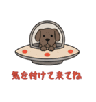 [気を付けて来てね専用]UFOで宇宙犬1（個別スタンプ：12）