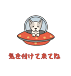 [気を付けて来てね専用]UFOで宇宙犬1（個別スタンプ：14）