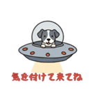 [気を付けて来てね専用]UFOで宇宙犬1（個別スタンプ：15）