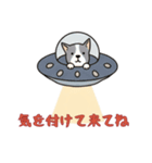 [気を付けて来てね専用]UFOで宇宙犬1（個別スタンプ：16）