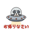 [お帰りなさい専用]UFOで宇宙犬1（個別スタンプ：2）