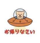 [お帰りなさい専用]UFOで宇宙犬1（個別スタンプ：5）