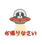[お帰りなさい専用]UFOで宇宙犬1（個別スタンプ：7）