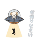 [お帰りなさい専用]UFOで宇宙犬1（個別スタンプ：11）