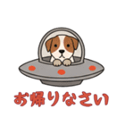 [お帰りなさい専用]UFOで宇宙犬1（個別スタンプ：13）