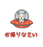 [お帰りなさい専用]UFOで宇宙犬1（個別スタンプ：14）