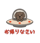 [お帰りなさい専用]UFOで宇宙犬1（個別スタンプ：15）