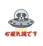 [お疲れ様です専用]UFOで宇宙犬1（個別スタンプ：10）