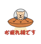 [お疲れ様です専用]UFOで宇宙犬1（個別スタンプ：11）