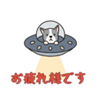 [お疲れ様です専用]UFOで宇宙犬1（個別スタンプ：12）