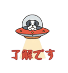 [了解です専用]UFOで宇宙犬1（個別スタンプ：1）