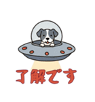 [了解です専用]UFOで宇宙犬1（個別スタンプ：5）