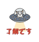 [了解です専用]UFOで宇宙犬1（個別スタンプ：6）