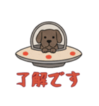 [了解です専用]UFOで宇宙犬1（個別スタンプ：9）