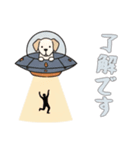 [了解です専用]UFOで宇宙犬1（個別スタンプ：10）