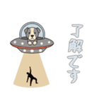 [了解です専用]UFOで宇宙犬1（個別スタンプ：12）