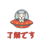 [了解です専用]UFOで宇宙犬1（個別スタンプ：13）