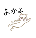 壱岐弁ネコ（個別スタンプ：1）