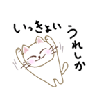 壱岐弁ネコ（個別スタンプ：7）