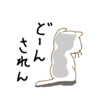 壱岐弁ネコ（個別スタンプ：19）