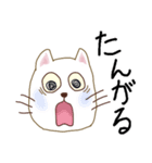 壱岐弁ネコ（個別スタンプ：21）