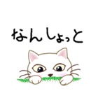 壱岐弁ネコ（個別スタンプ：33）