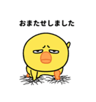 タレ目のひよこちょっと敬語（個別スタンプ：5）