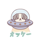 [オッケー専用]宇宙犬UFOで襲来（個別スタンプ：13）