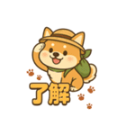 旅柴君とゆるっと暮らし（個別スタンプ：5）