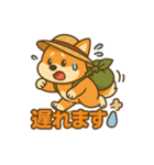 旅柴君とゆるっと暮らし（個別スタンプ：15）