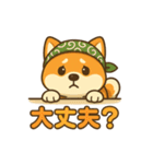 旅柴君とゆるっと暮らし（個別スタンプ：21）