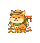 旅柴君とゆるっと暮らし（個別スタンプ：22）