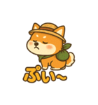 旅柴君とゆるっと暮らし（個別スタンプ：27）