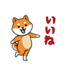 シバ犬と一緒の日常（個別スタンプ：5）