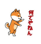 シバ犬と一緒の日常（個別スタンプ：6）