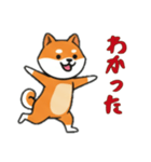 シバ犬と一緒の日常（個別スタンプ：7）