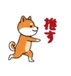 シバ犬と一緒の日常（個別スタンプ：9）
