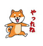 シバ犬と一緒の日常（個別スタンプ：10）