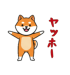 シバ犬と一緒の日常（個別スタンプ：13）