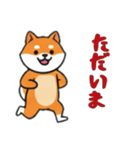 シバ犬と一緒の日常（個別スタンプ：14）