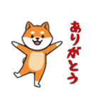 シバ犬と一緒の日常（個別スタンプ：15）