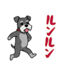 シュナウザーと一緒だよ（個別スタンプ：1）