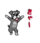 シュナウザーと一緒だよ（個別スタンプ：5）