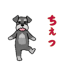 シュナウザーと一緒だよ（個別スタンプ：6）