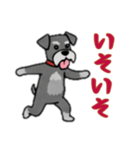 シュナウザーと一緒だよ（個別スタンプ：8）