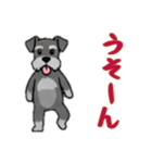 シュナウザーと一緒だよ（個別スタンプ：10）