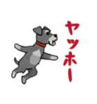シュナウザーと一緒だよ（個別スタンプ：12）